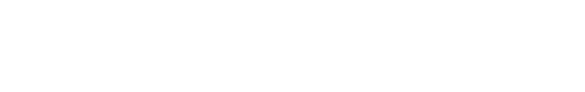 NOW SnowGraph logo, white.